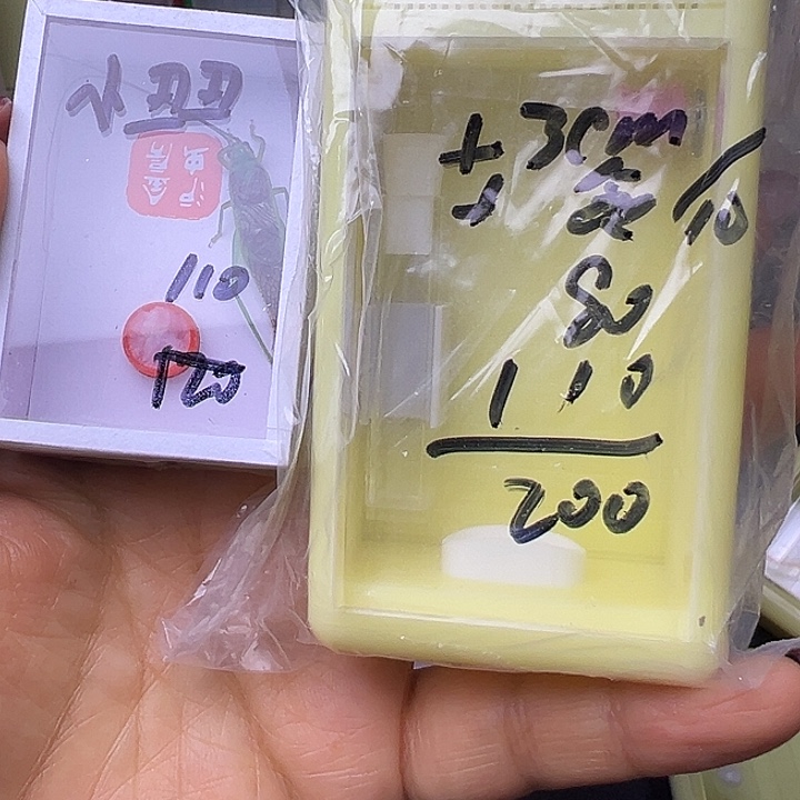 *****哈哈哈哈哈哈哈哈哈哈哈