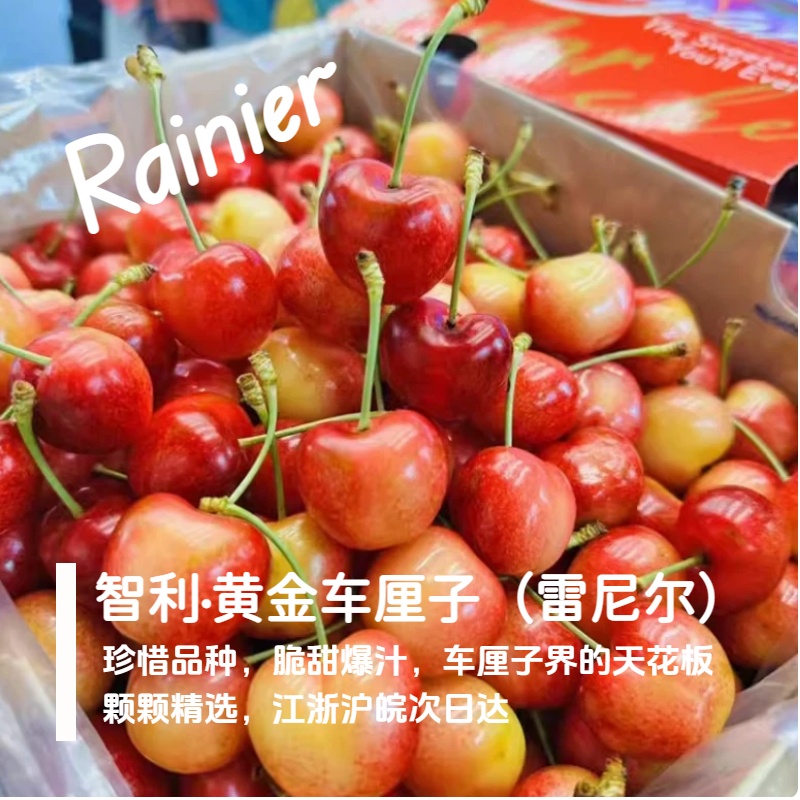 【3J高品质黄车次日达】小蜜蜂雷尼尔4.4斤智利海运黄金车厘子内附果径卡雷尼尔樱桃智利共和国