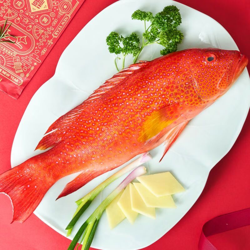 福建东山岛海捕东星斑石斑鱼鲜活速冻顺丰包鲜到家1