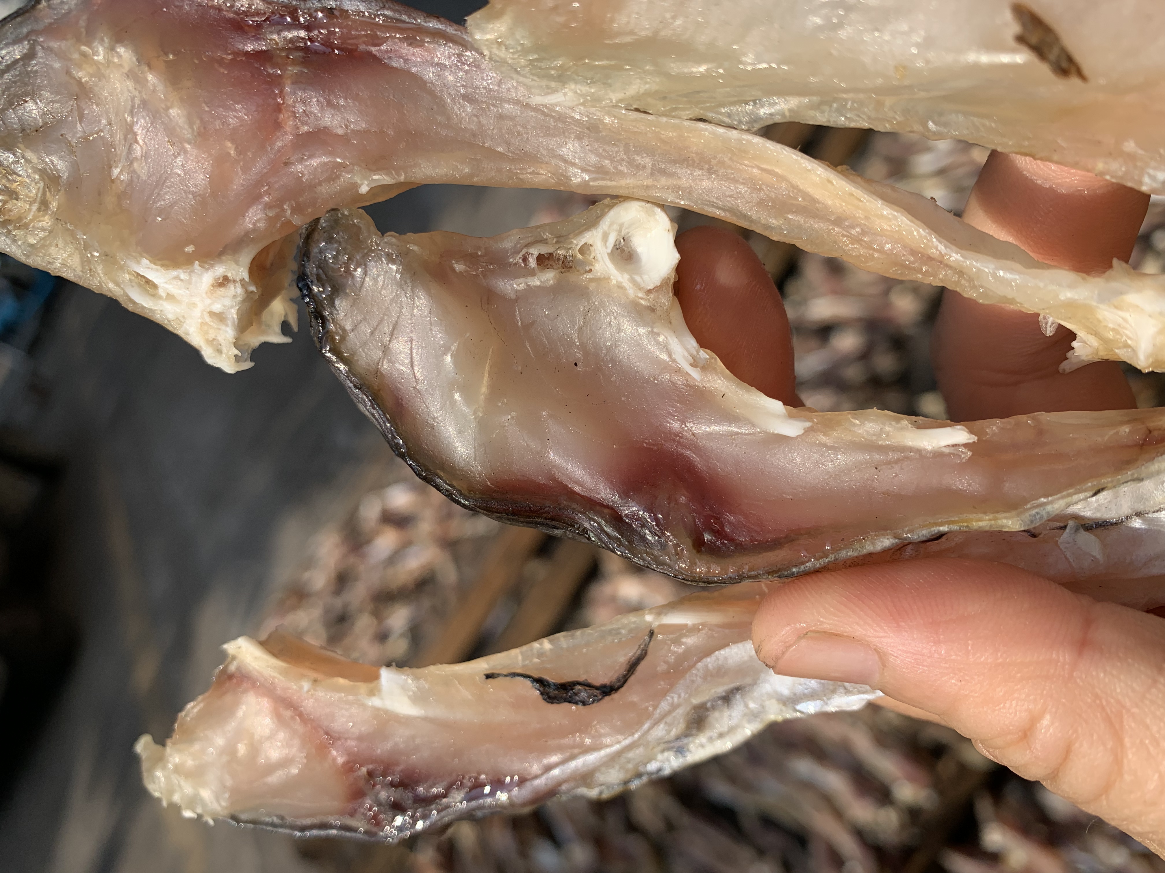 台山特产50米水库皖鱼肉