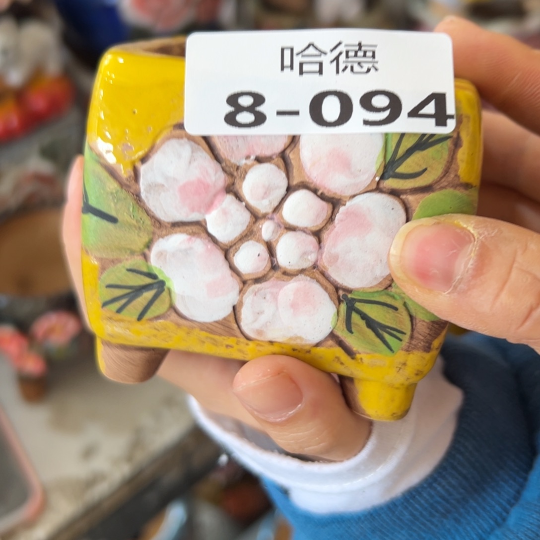 瑕疵894 多肉花盆，满20发货，爱退款拉黑