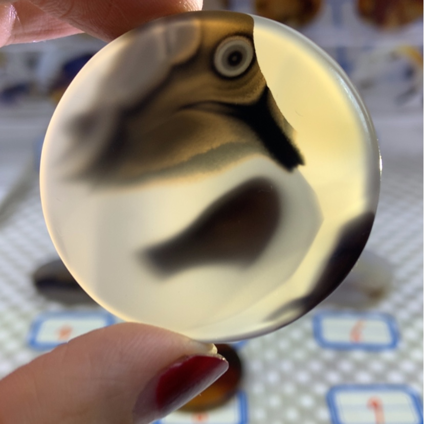 【闪购商品】玛瑙/玉髓颈饰未镶嵌