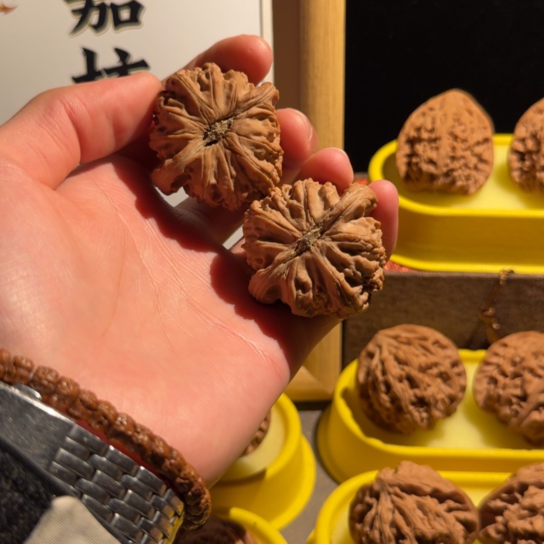 H***h核桃福利白狮子不退换