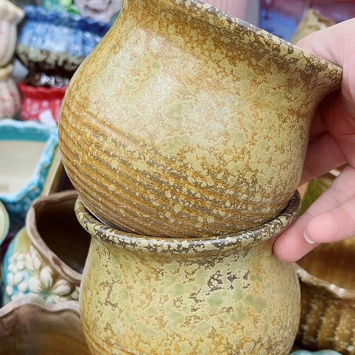 多肉植物陶瓷花盆