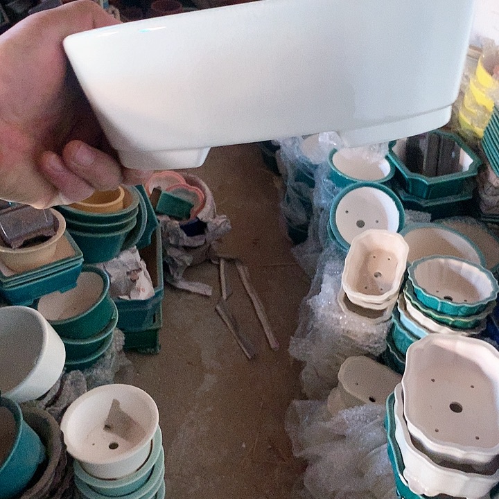 紫砂哈哈真的是太给力太火爆了不是吗