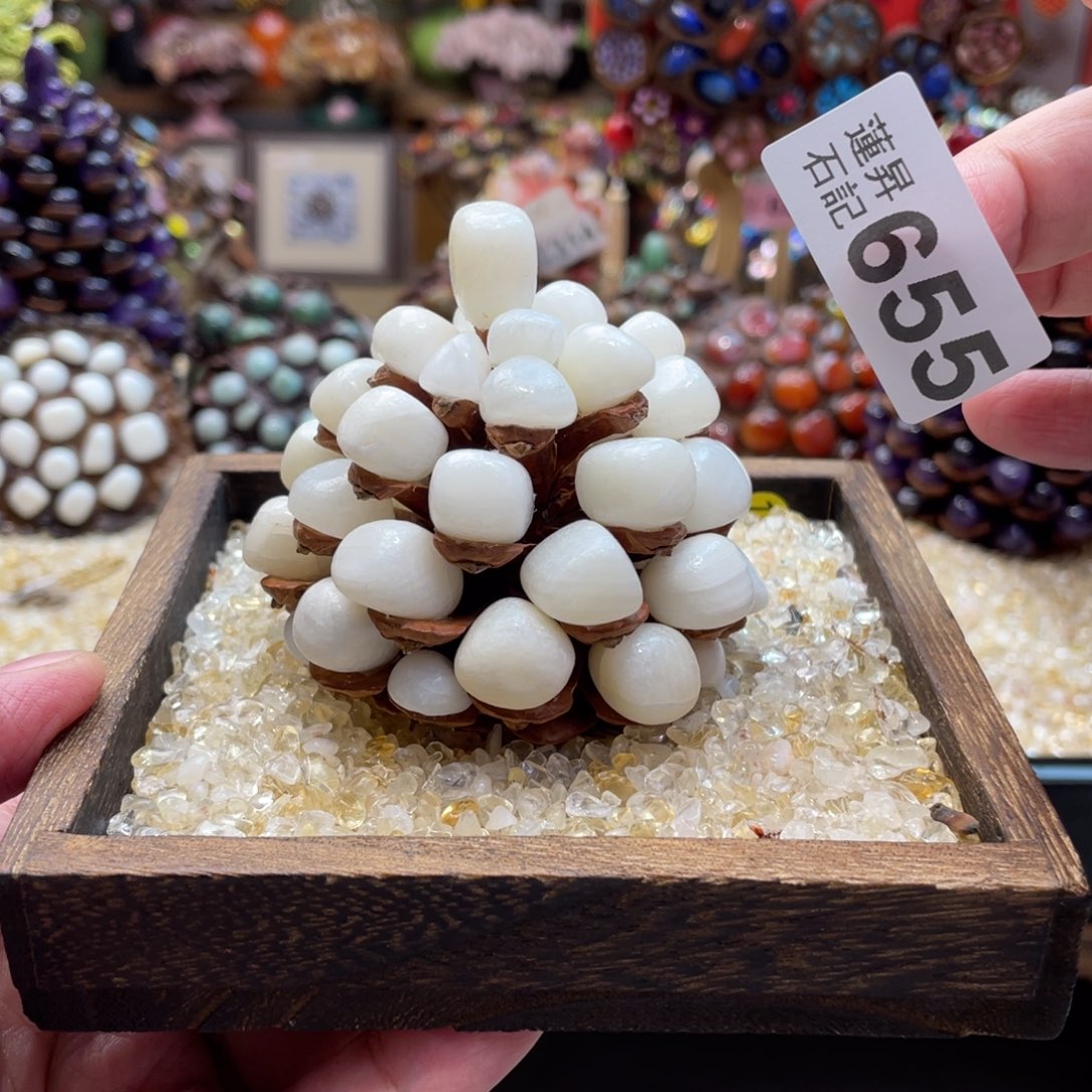 核桃木/黑胡桃（胡桃木）655一套松塔