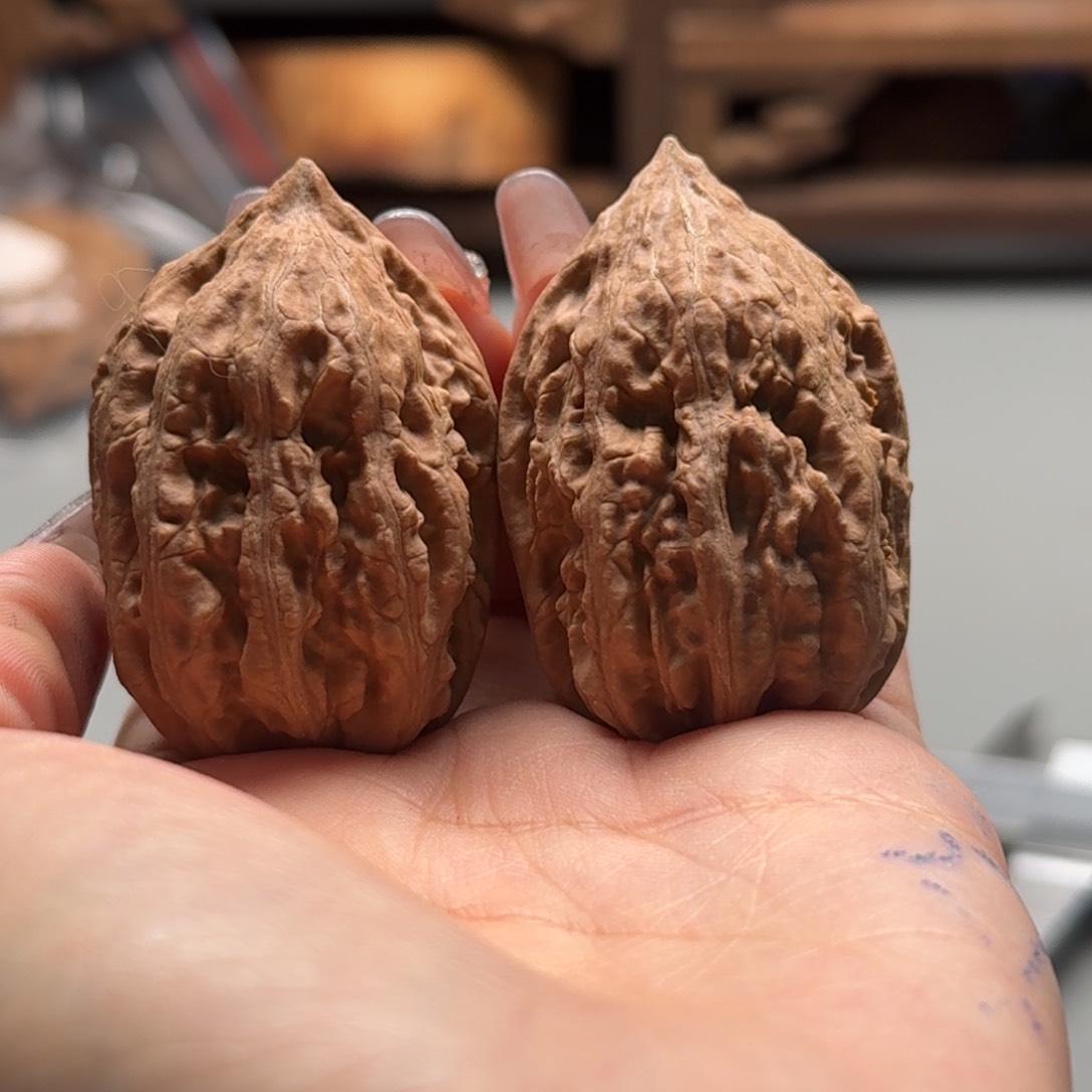 文玩核桃把件关东木子楸百核67