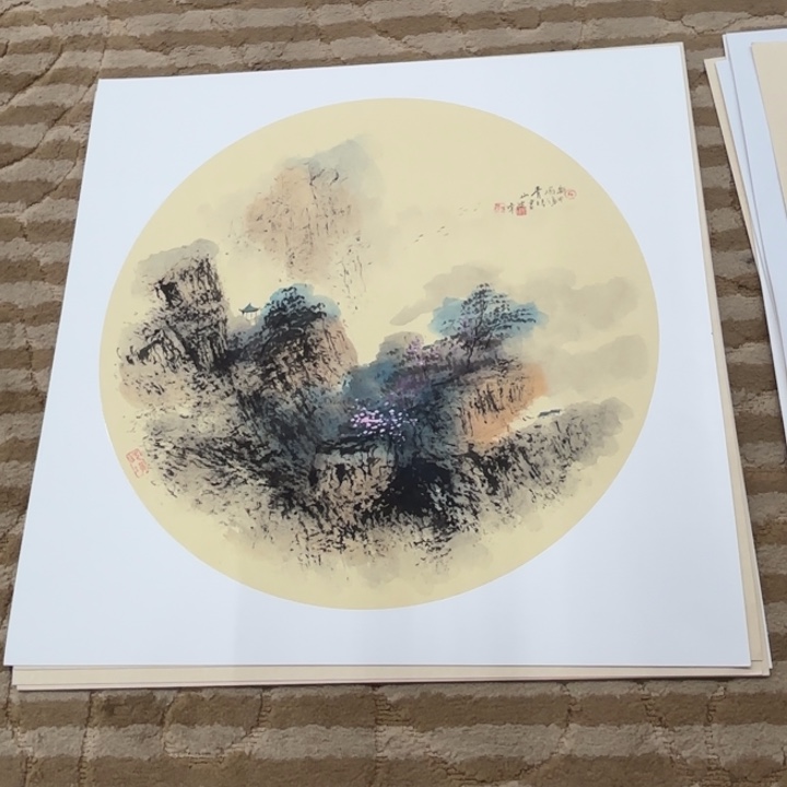 国画花鸟的翅膀和羽毛的