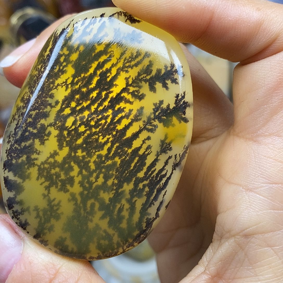 石英质玉（黄龙玉）颈饰未镶嵌