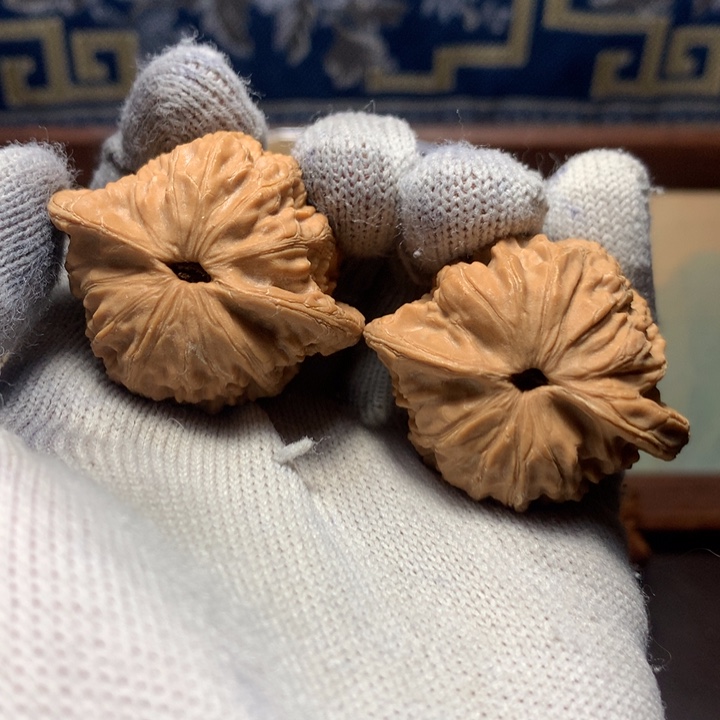 热***生不哈哈哈哈哈哈哈哈哈哈