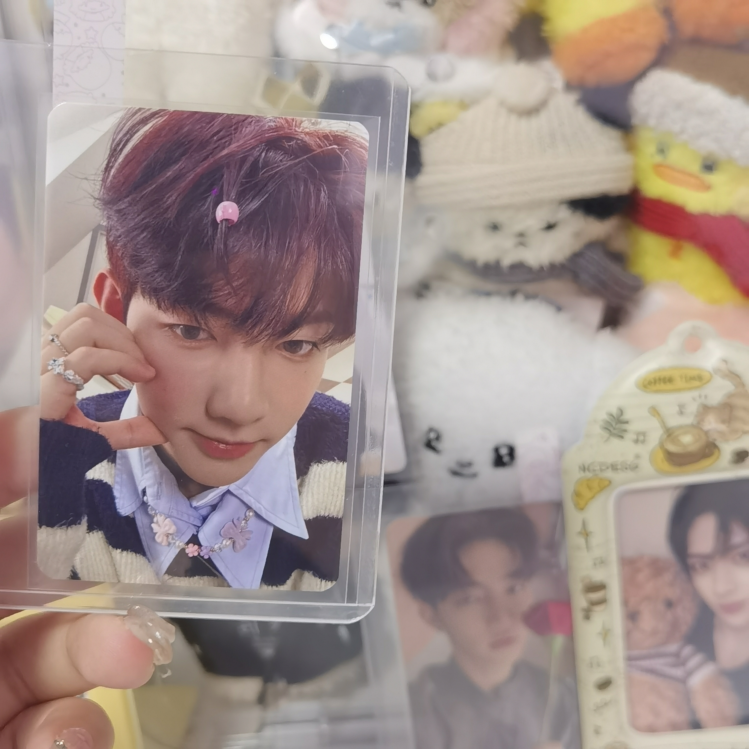 章昊打歌卡章昊sbs入场卡