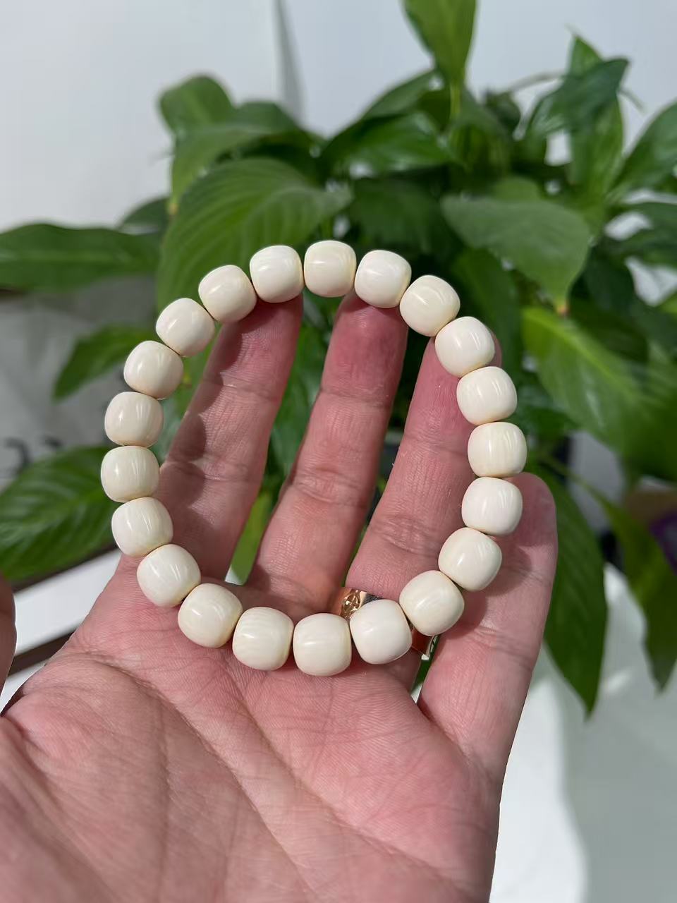 9.5/10mm天然猛犸牙 