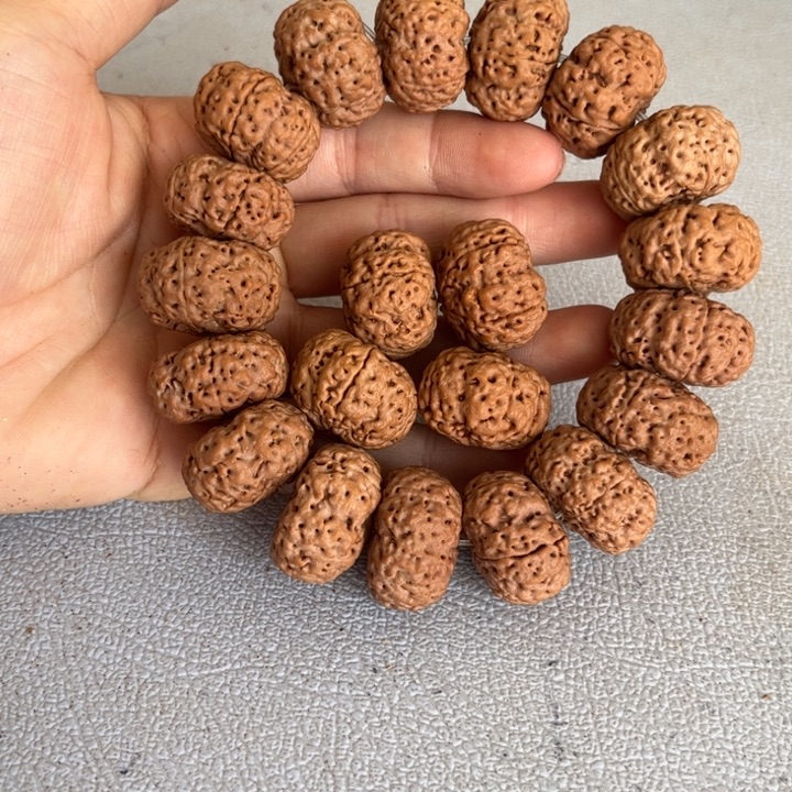 手串金刚菩提23mm蜂王夹板6@1804