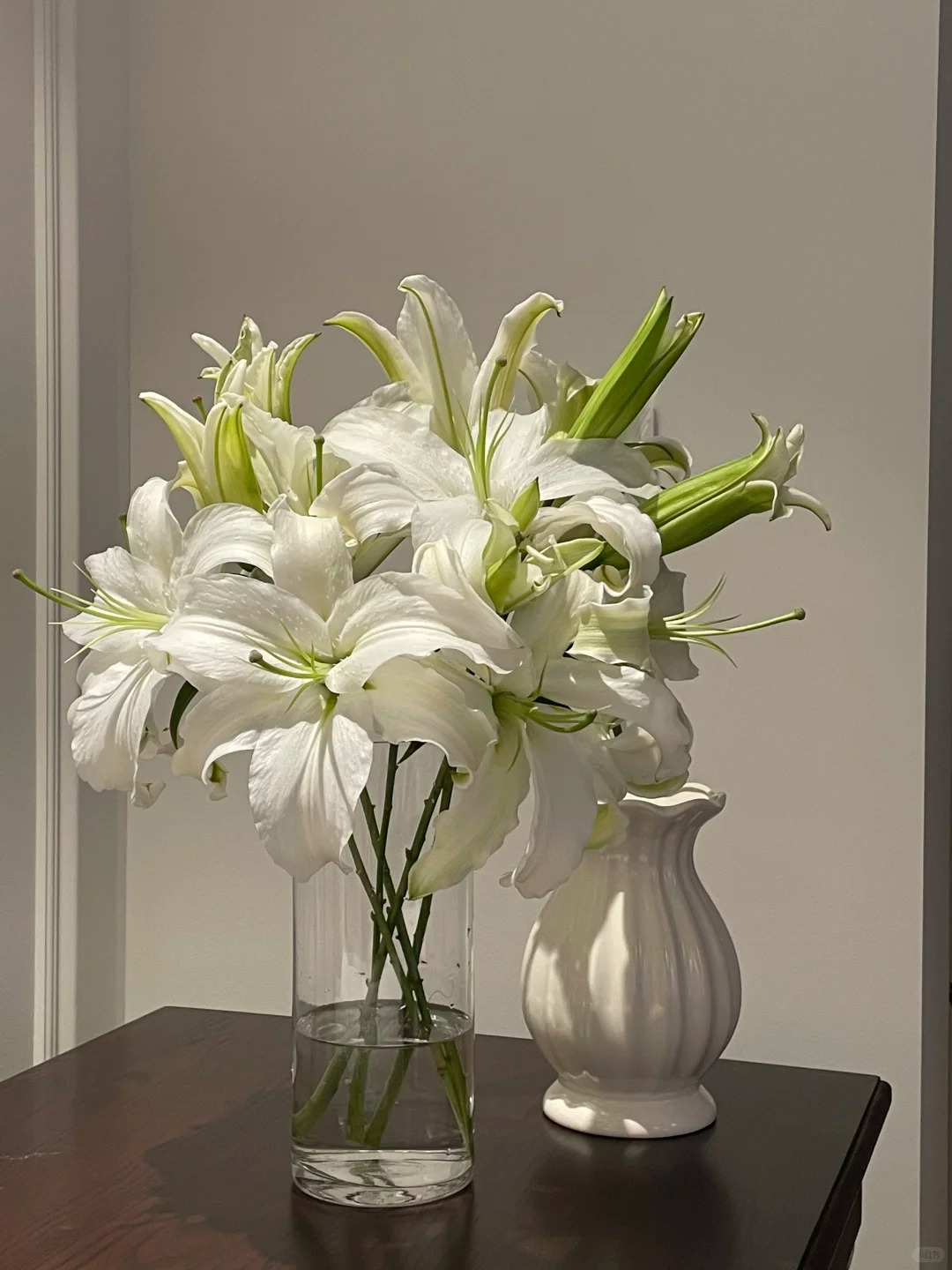 【花汀私享】白色西伯利亚-多头单瓣百合（注意带包装醒花哦~）