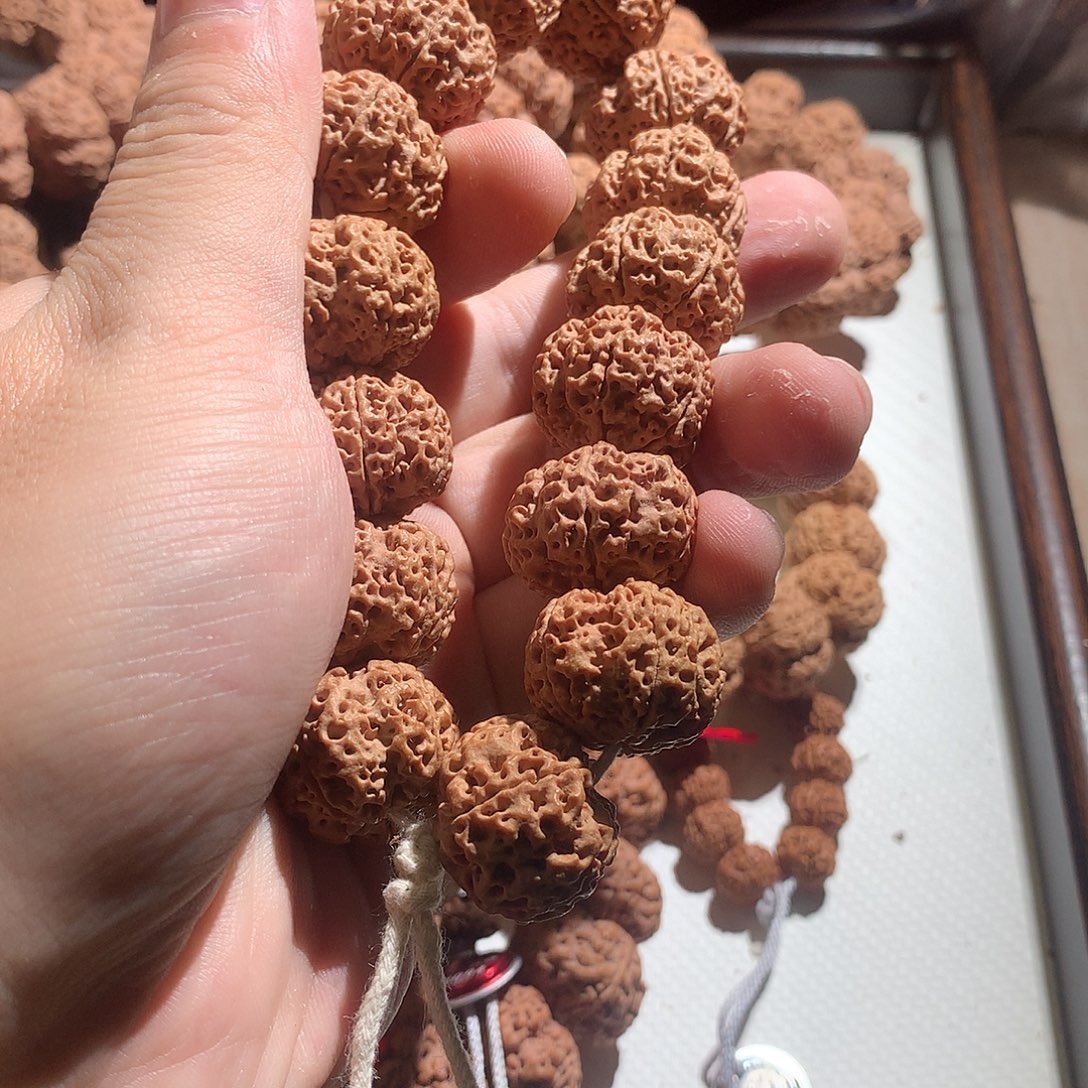 手串金刚菩提蜂王
