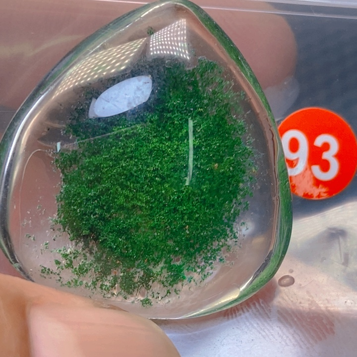 蜻***蜓珠宝半成品未镶嵌水晶