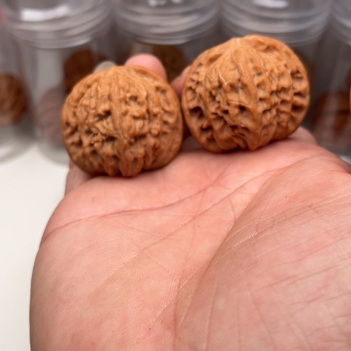 摆件摆件摆件摆件跋扈