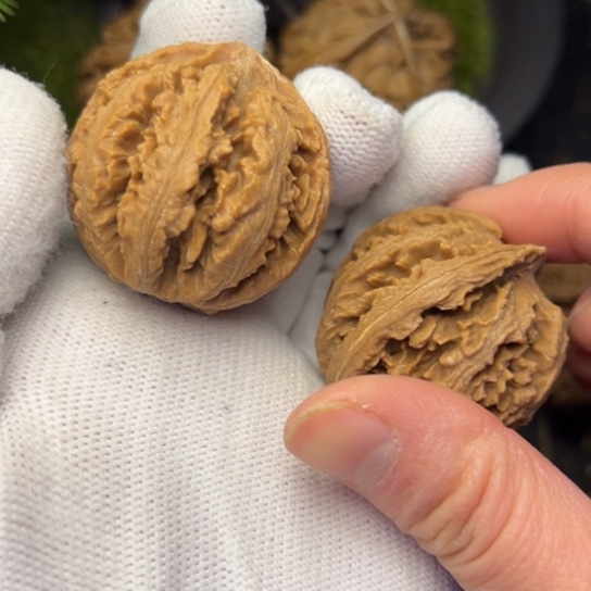 紫***文玩核桃把件秦岭核桃33