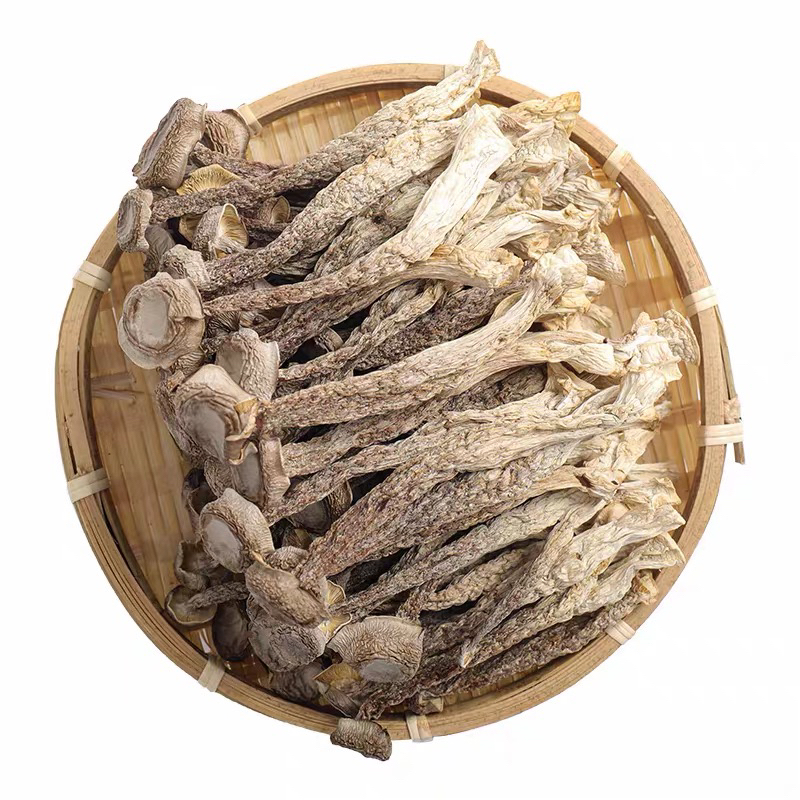 【古田本地】鹿茸菇100g