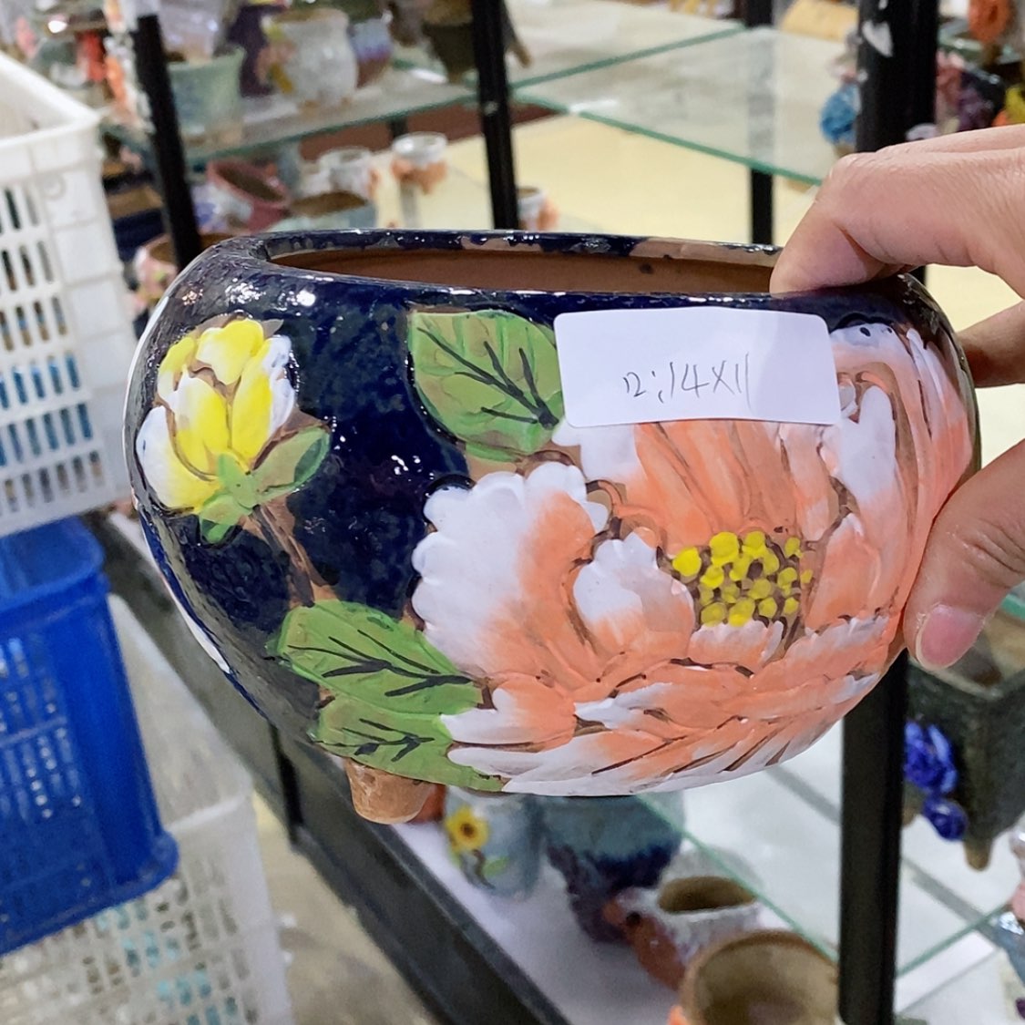 【闪购商品】红陶福利