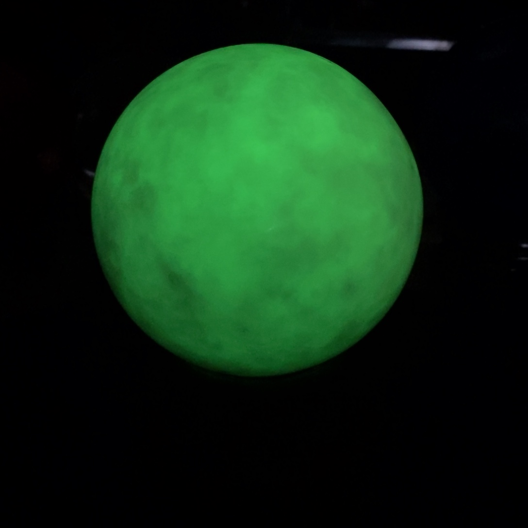 茶宠我在这里等你回来