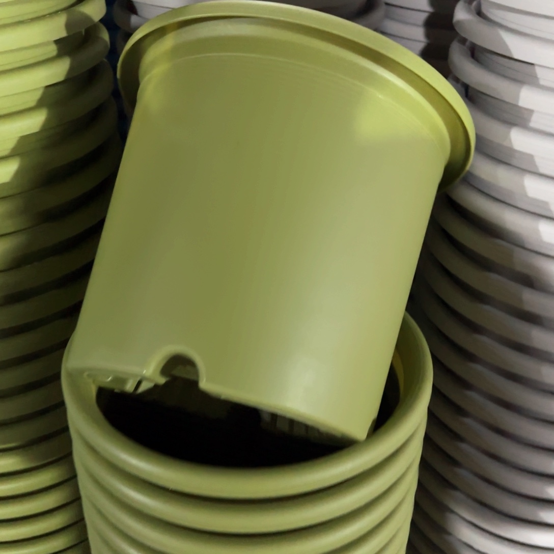 树脂特价6#无拖果绿7个