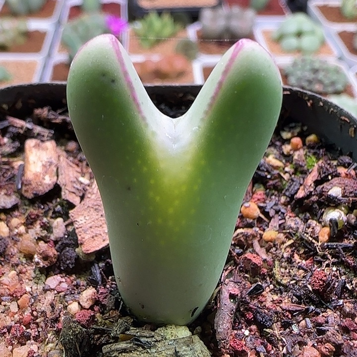 527哈哈哈哈哈哈哈哈哈