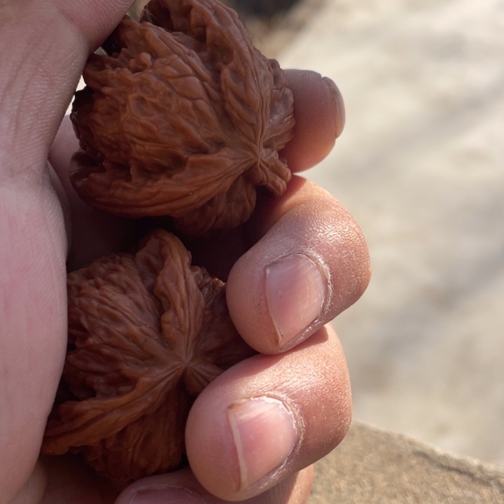 泰***板文玩核桃吊坠三棱三棱三棱三棱