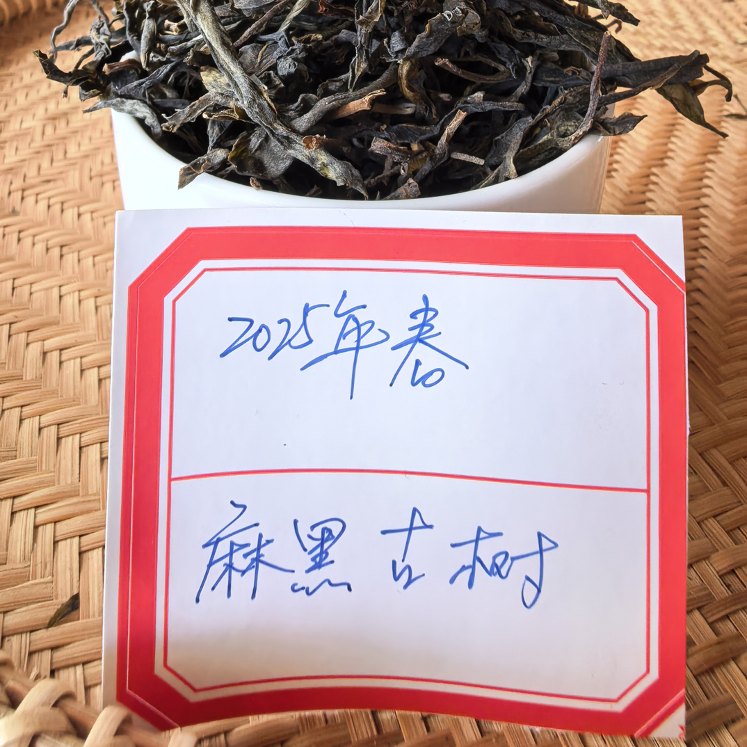 普洱茶2025年麻黑古树春