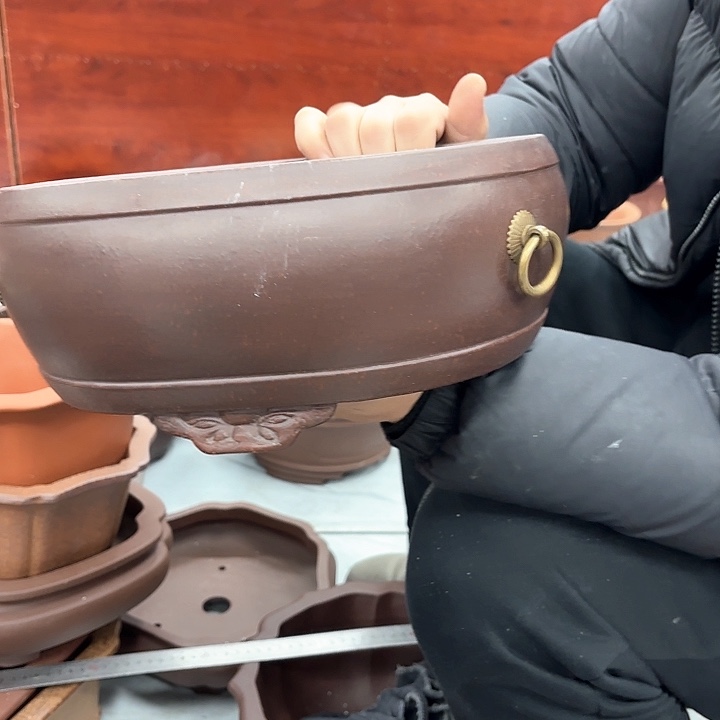 紫砂花盆紫砂的花也太美