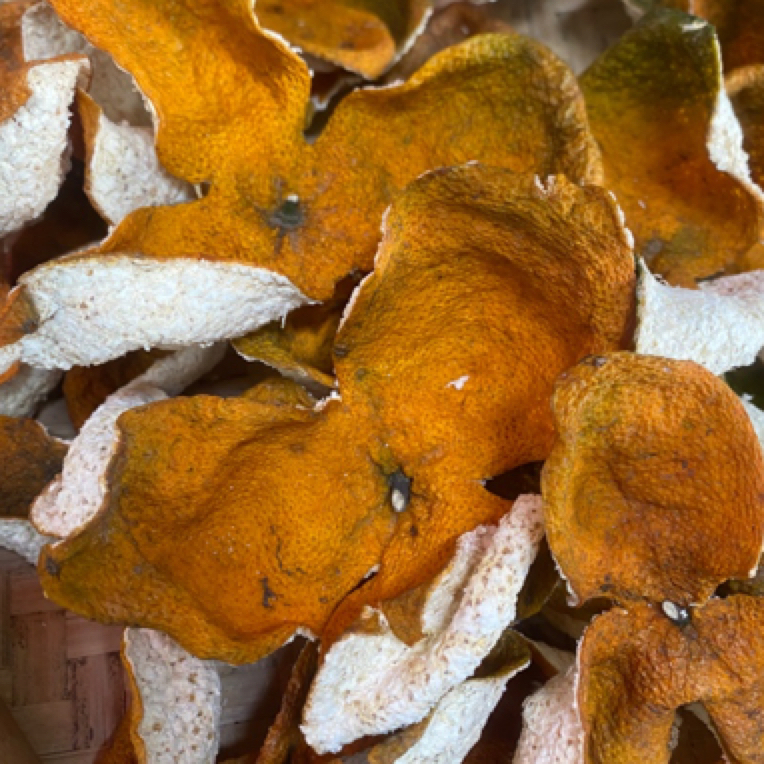 新会陈皮2024年南坦圈枝狗腩皮大红皮