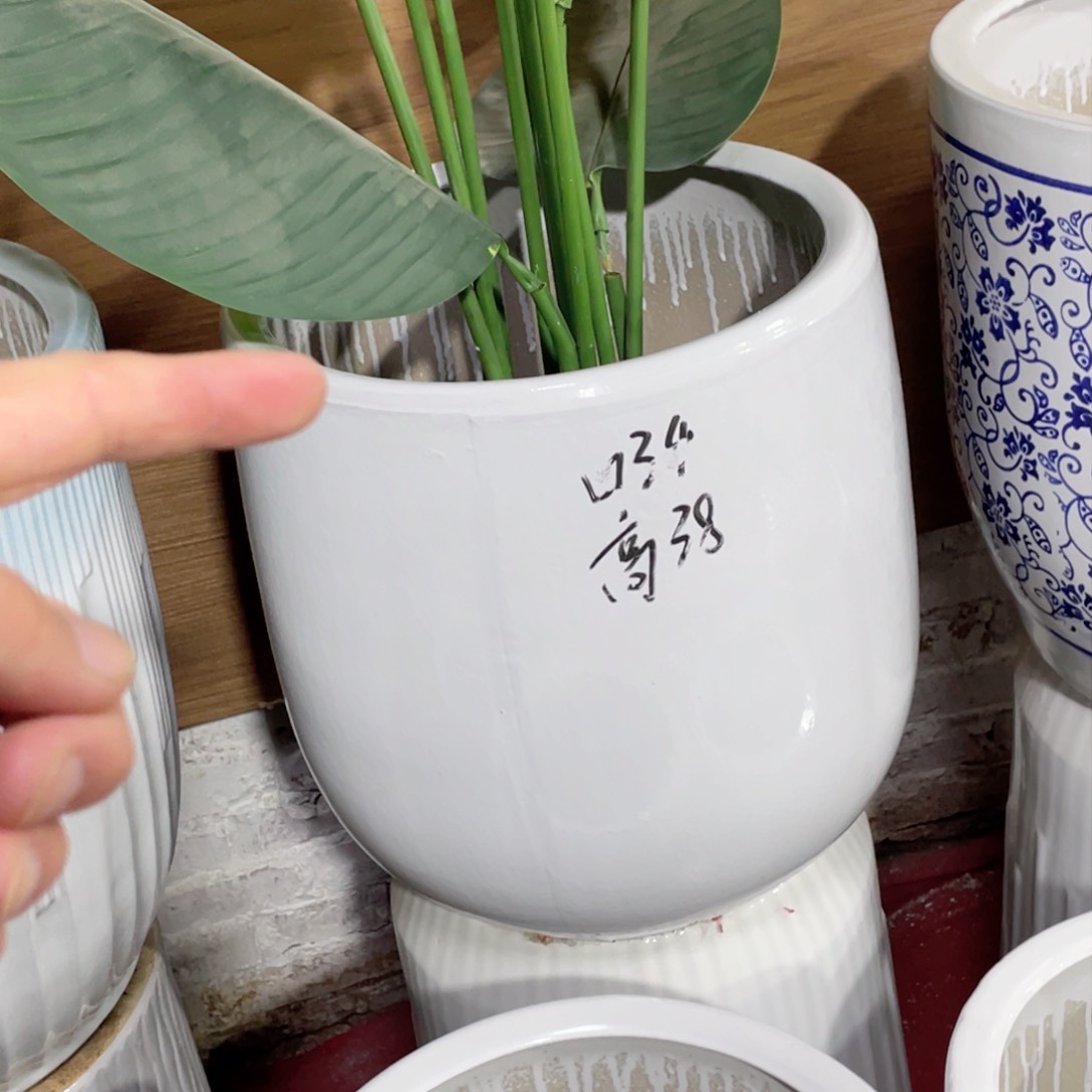 媚*新款龙蛋口径34高度38正常品花盆