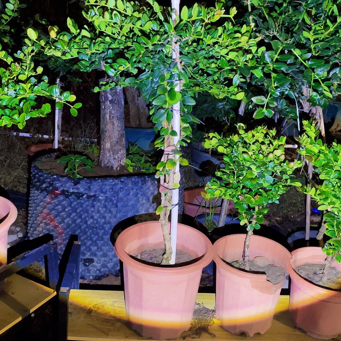 完全开放222是山山水水都能感受到的一种