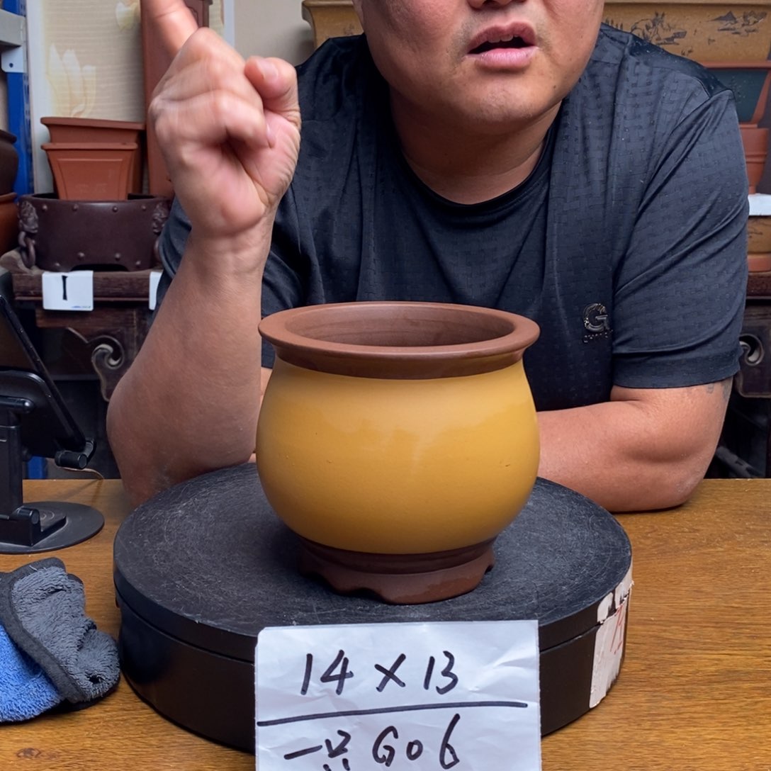 紫砂货号一只G06