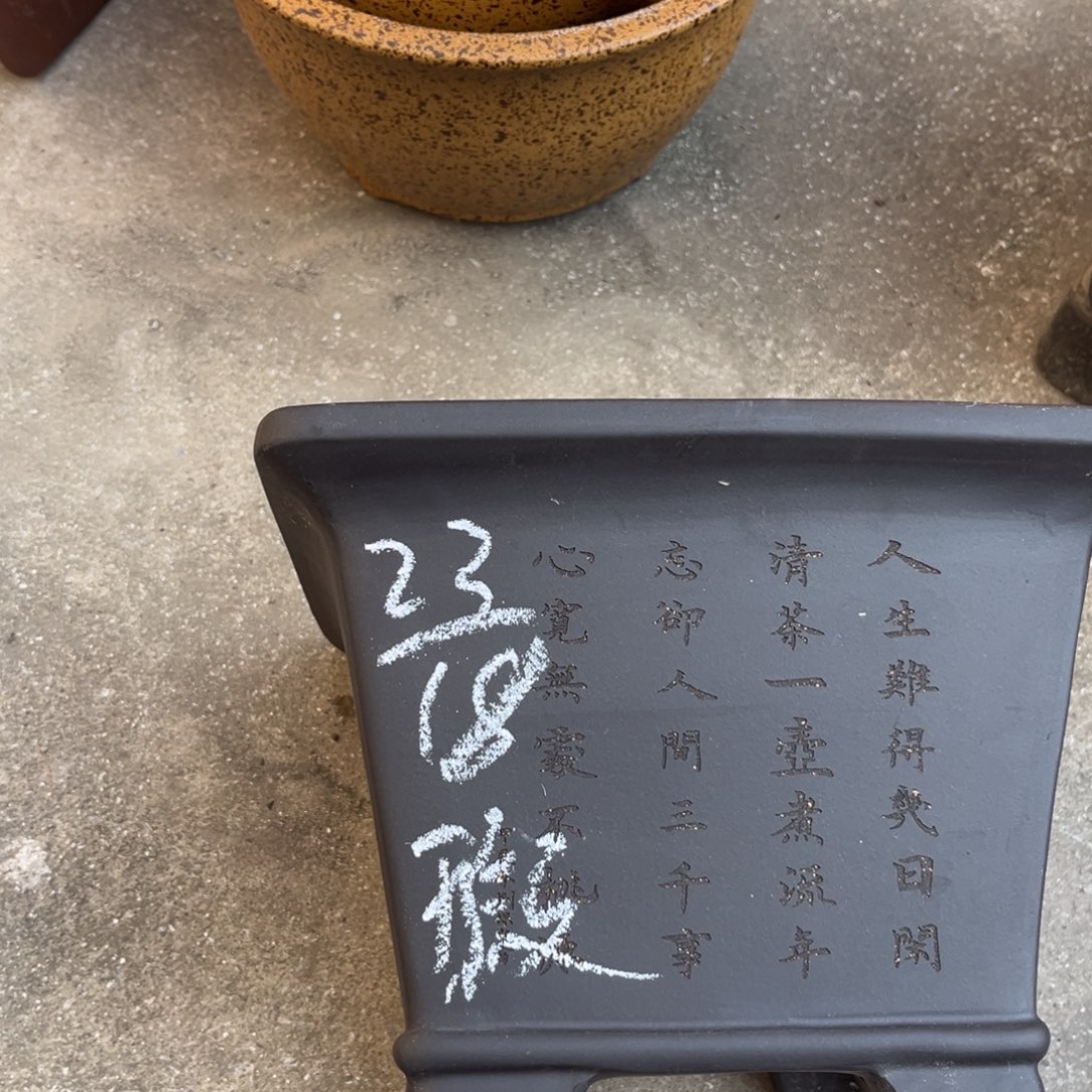 紫砂花盆盆景艺术