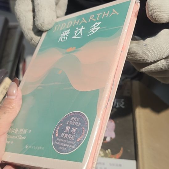 悉达多刷边库存书库存书