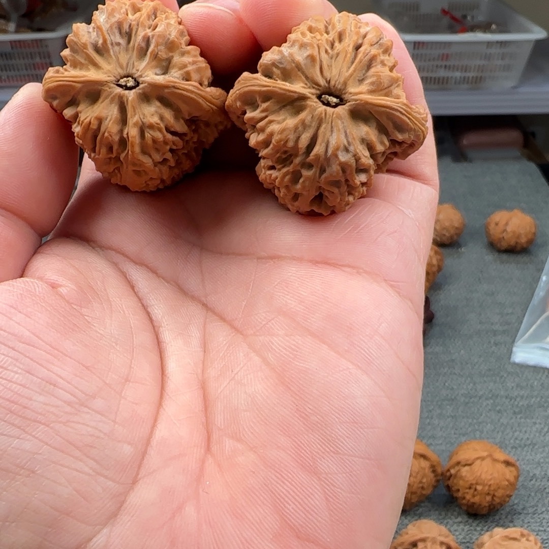 鲨***把件桃核44南疆石660