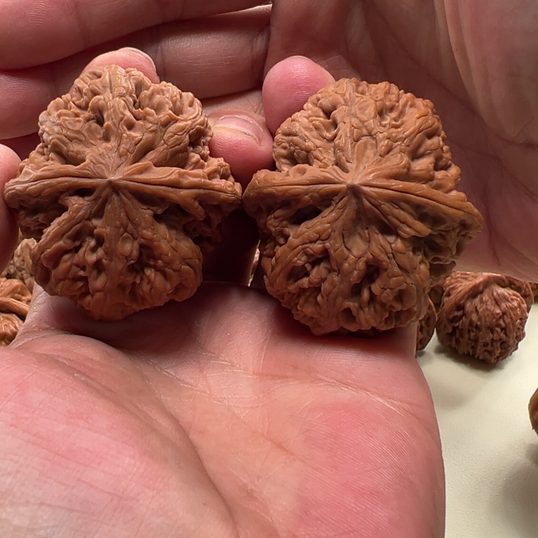 刘***斯文玩核桃把件大粗筋全品46，66克