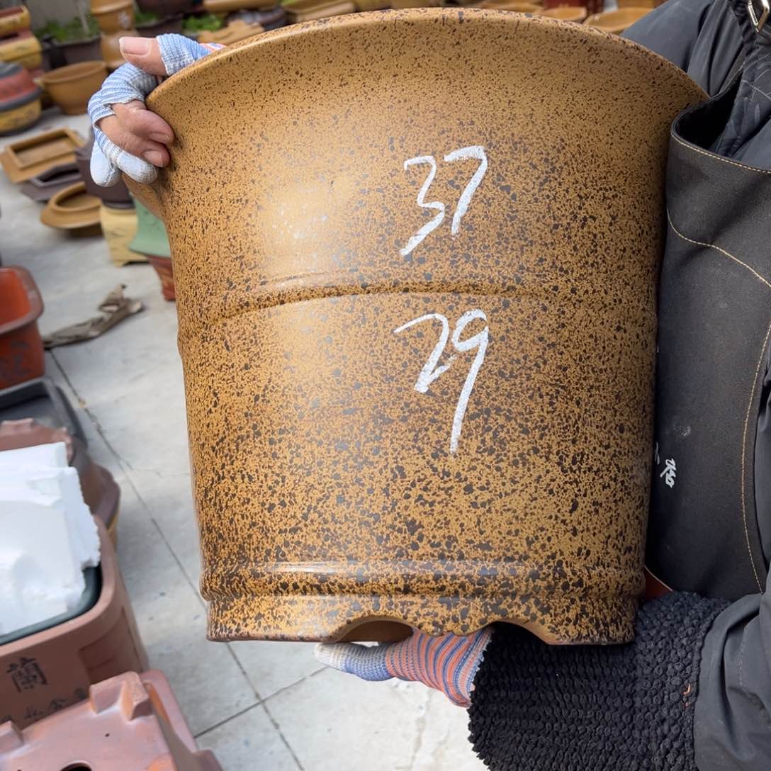 紫砂花盆盆景艺术