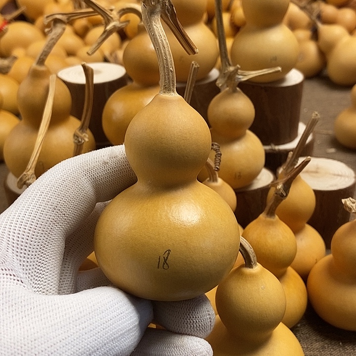 文玩葫芦 完美主义者 慎拍18