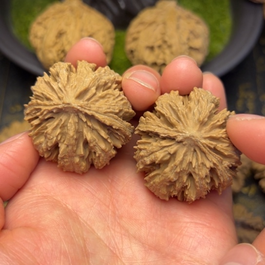 文玩核桃把件秦岭核桃5