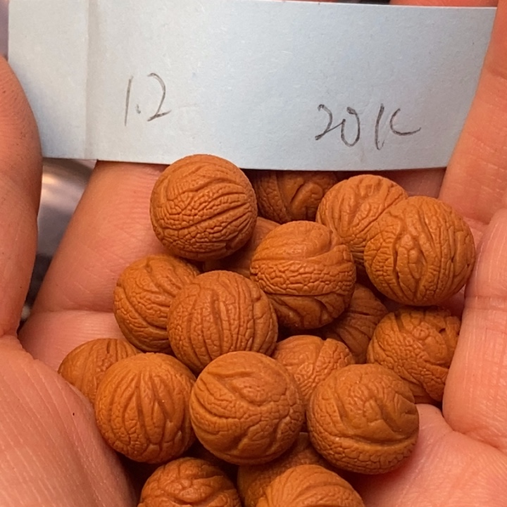 吊坠桃核秦岭龙纹桃核12尺寸