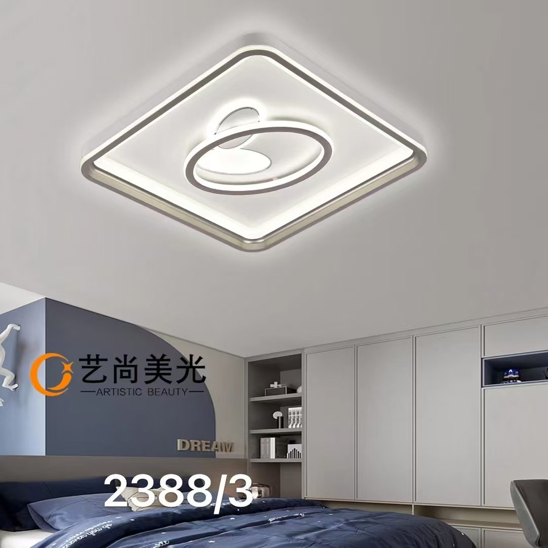 2024新款异形简约个性百搭卧室灯