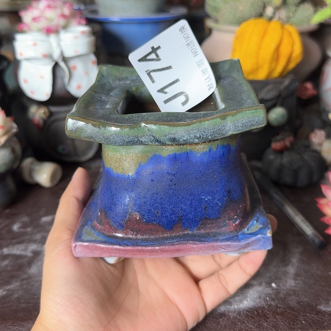 重庆小燕子欢迎大家174