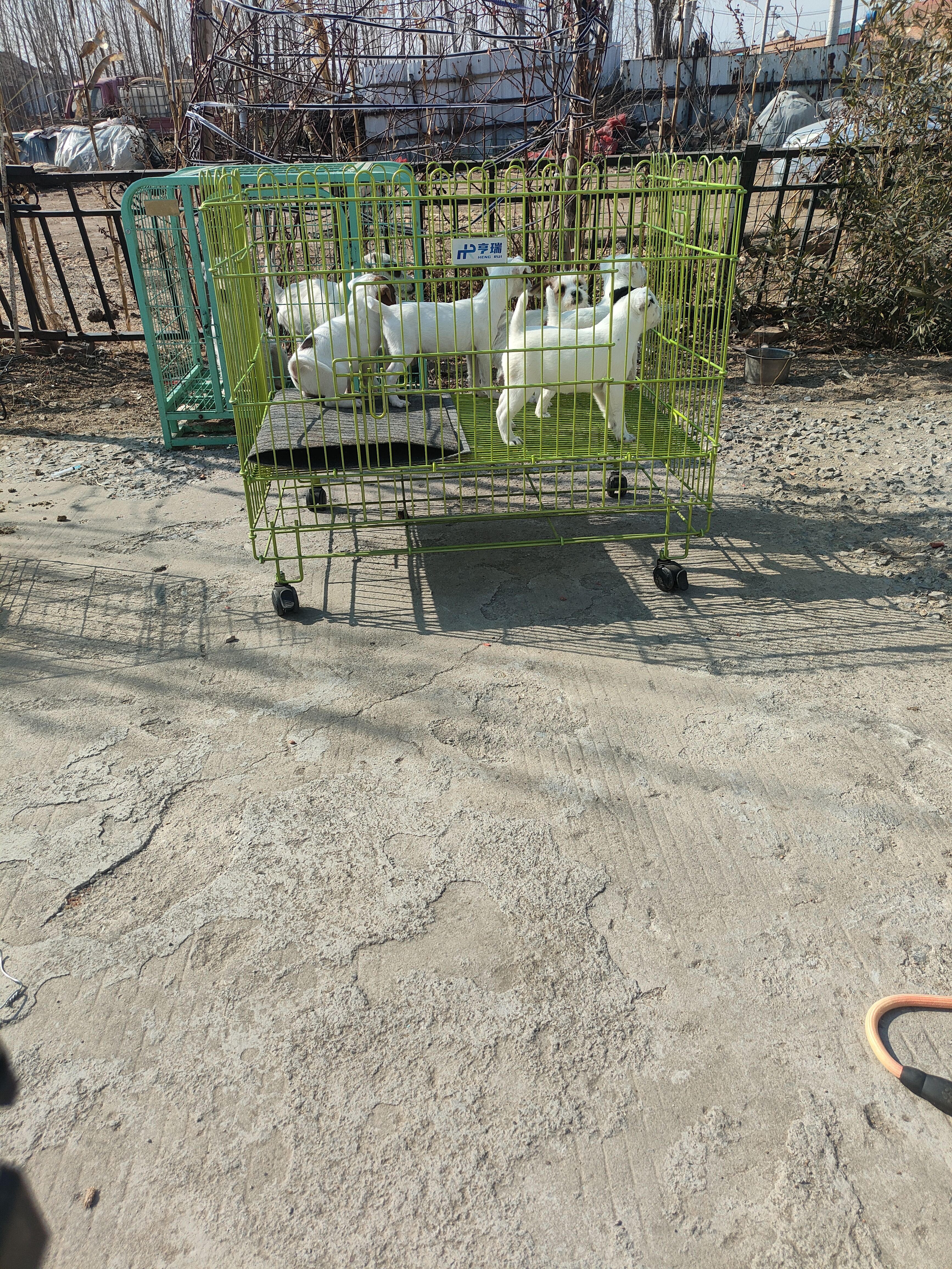 宠物相册联系客服