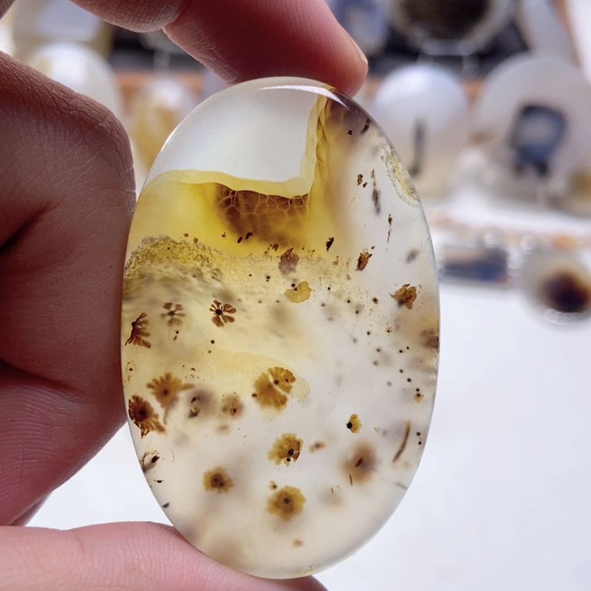 【闪购商品】玛瑙/玉髓颈饰未镶嵌