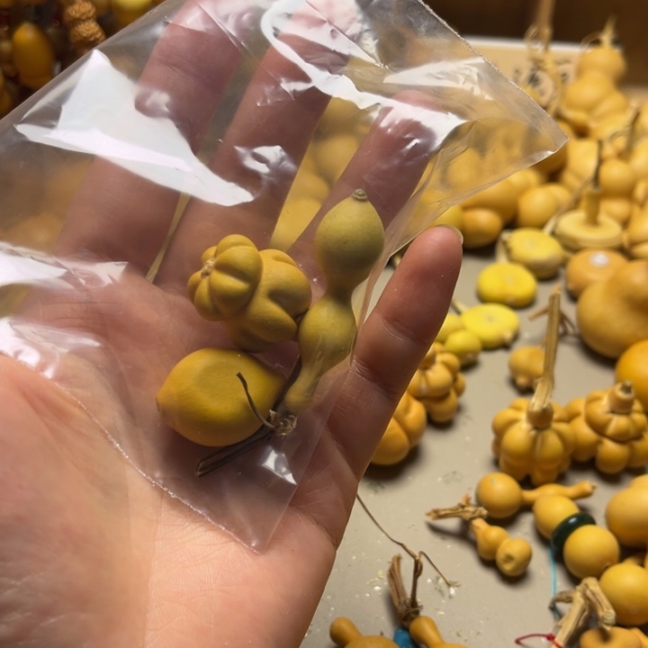 视***瓶葫芦葫芦葫芦葫芦