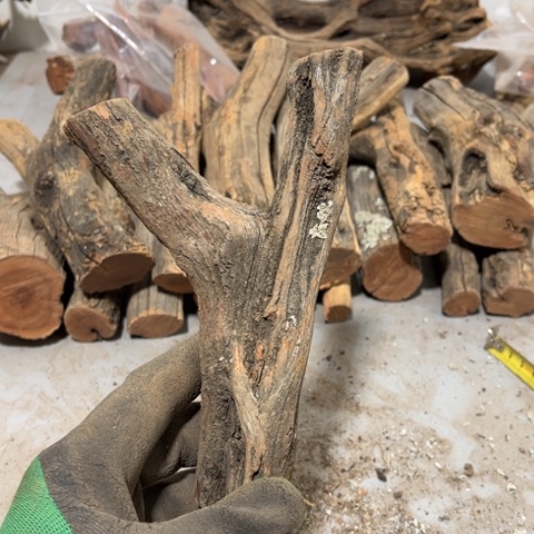 大果紫檀（缅甸花梨）寂***烟