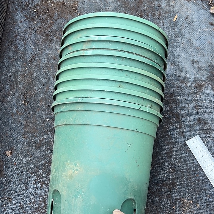 加仑盆口径19高20发8个