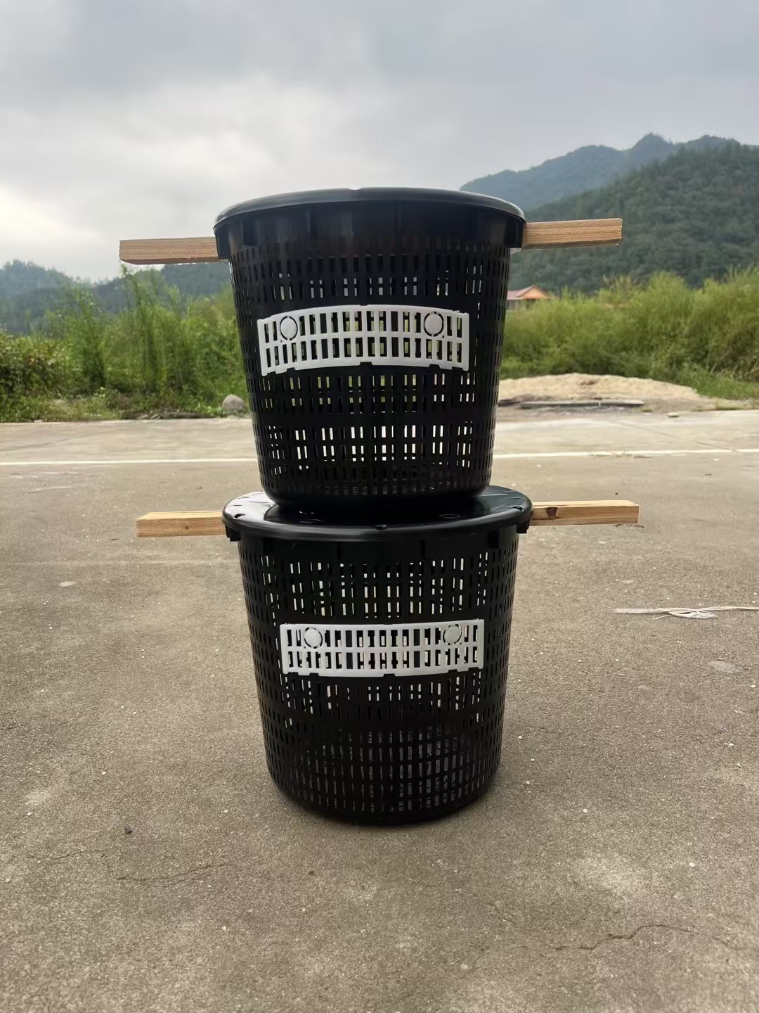 黄脚胡蜂控王笼野化放养防上树防天敌不掉蛹控王笼20个